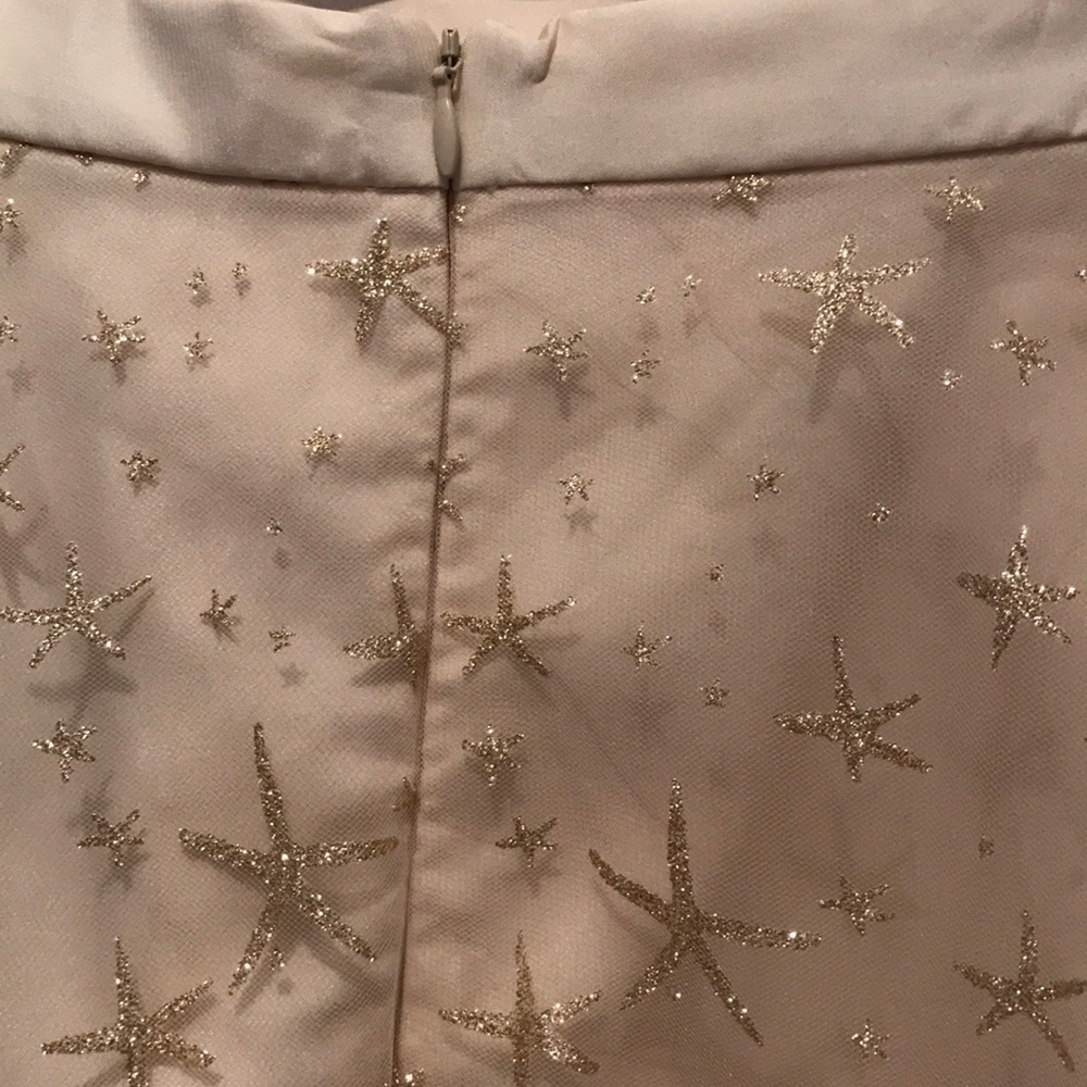 Anthropologie Eva Franco tulle Star ⭐️ skirt 6 💫 - Picture 6 of 7
